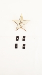 Bluestar 742401 Blue Star Logo Badge