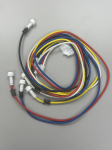 GE Electrodes And Harness Hv Wb18X20379 (Replaced by part#WS01F06029)